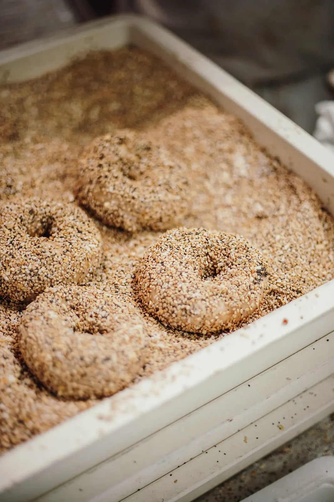 Bagels with everything seasoning topping in a white container.