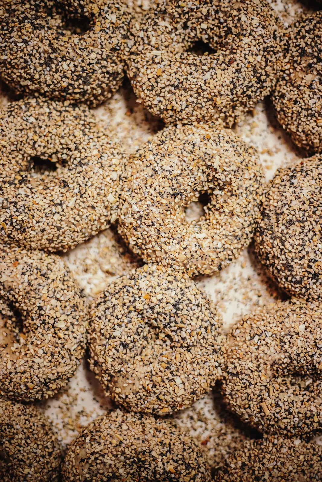 Close-up of everything bagels with circular patterns
