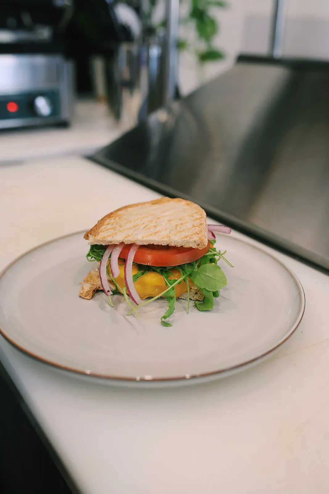 Sandwich on a plate with a kitchen counter in the background