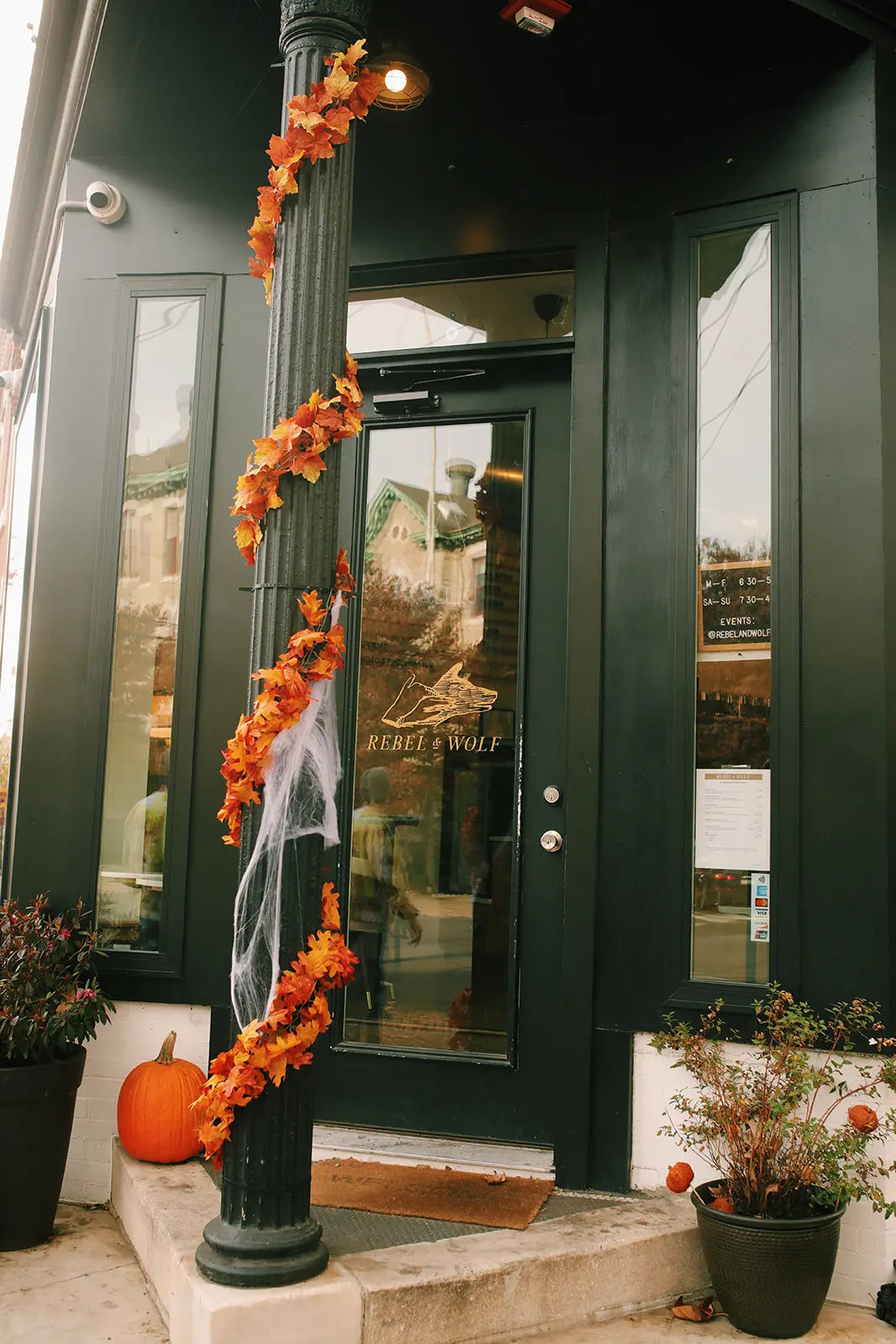 Rebel & Wolf — bagels & Bean2Bean coffee