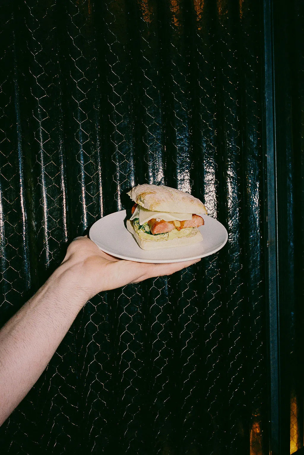 Hand holding a plate with a sandwich against a dark textured wall